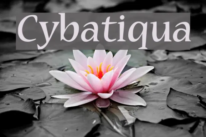 Cybatiqua Example 1