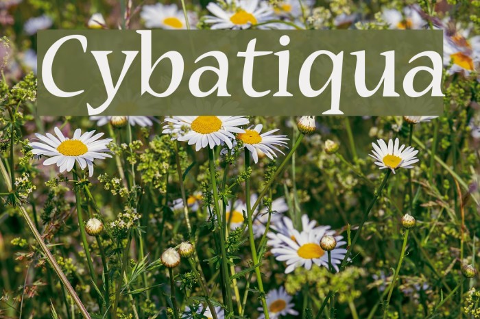 Cybatiqua Font examples