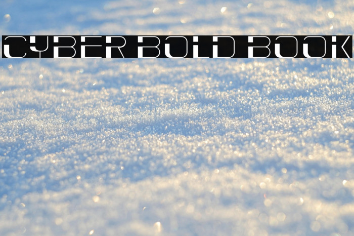 Cyber Bold Book Example 1