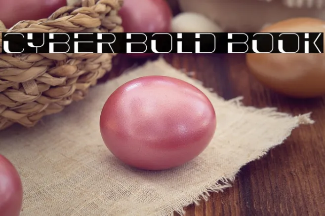 Cyber Bold Book Example 2
