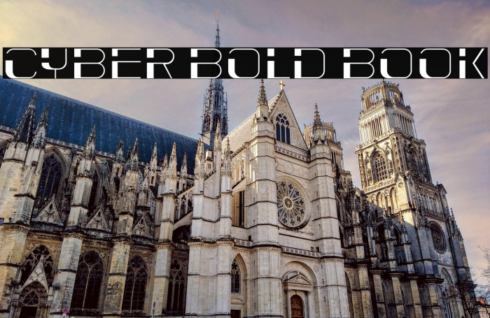 Cyber Bold Book Example 3