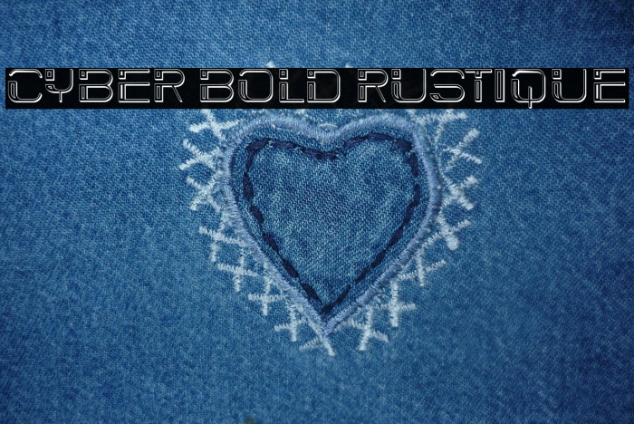 Cyber Bold Rustique Example 3