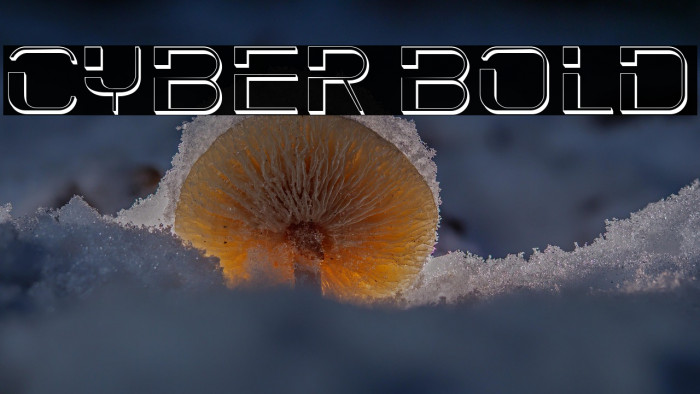 Cyber Bold Example 1