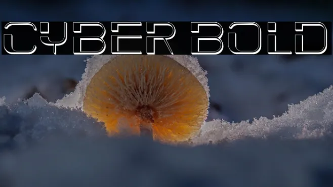 Cyber Bold Example 1