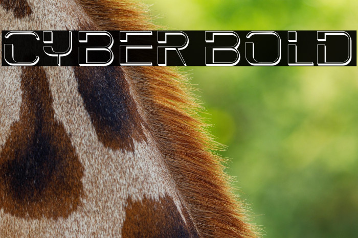 Cyber Bold Example 3