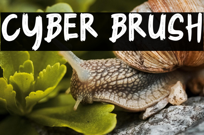 Cyber Brush Example 3