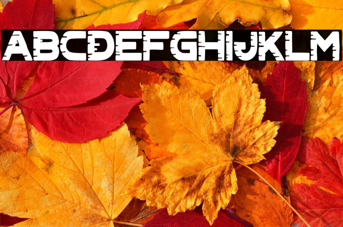 Cyber Chaos co_black Example 1