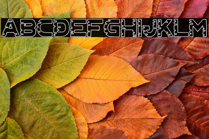 Cyber Chaos co Example 1