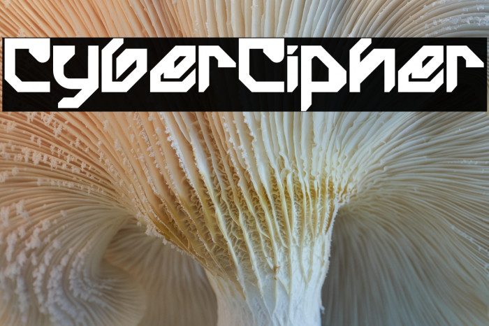 Cyber Cipher Example 1