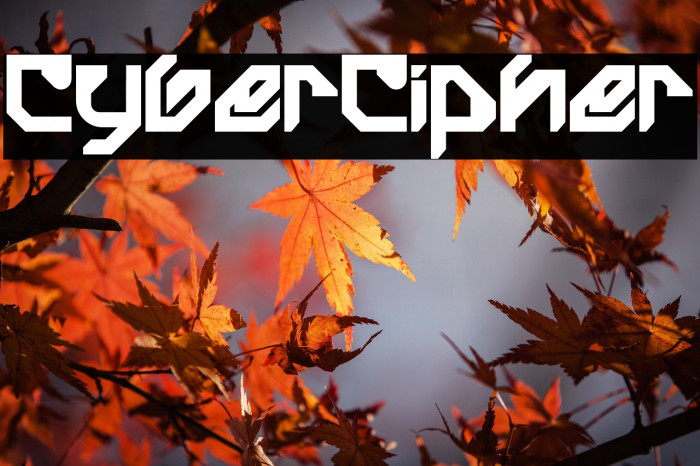 Cyber Cipher Example 2