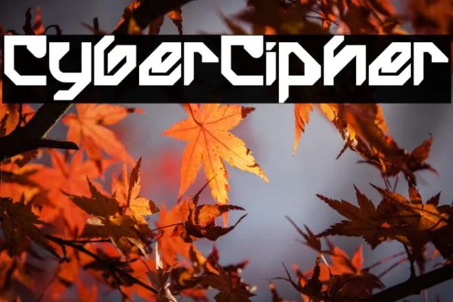 Cyber Cipher Example 2