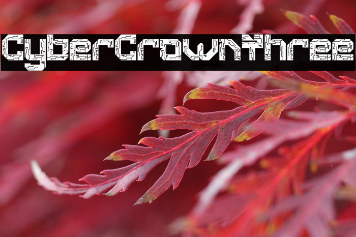 Cyber Crown Three Example 1