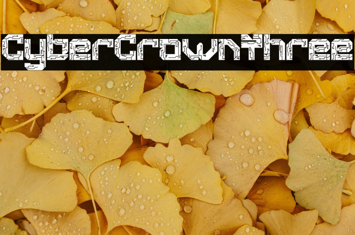 Cyber Crown Three Example 3