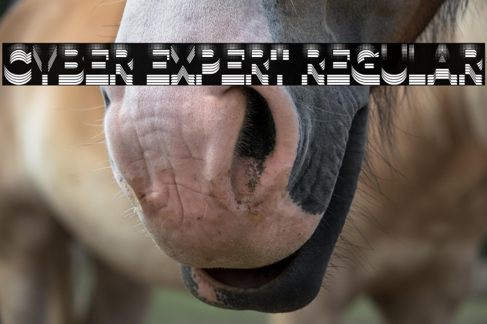 Cyber Expert Regular Example 3