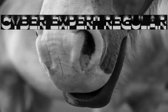 Cyber Expert Regular Font examples