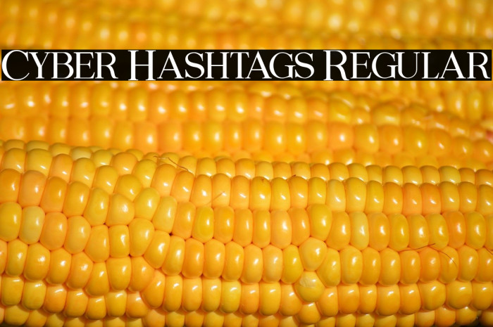 Cyber Hashtags Regular Example 2