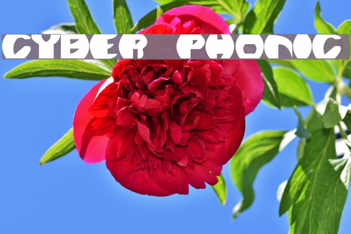 Cyber Phonic Font examples