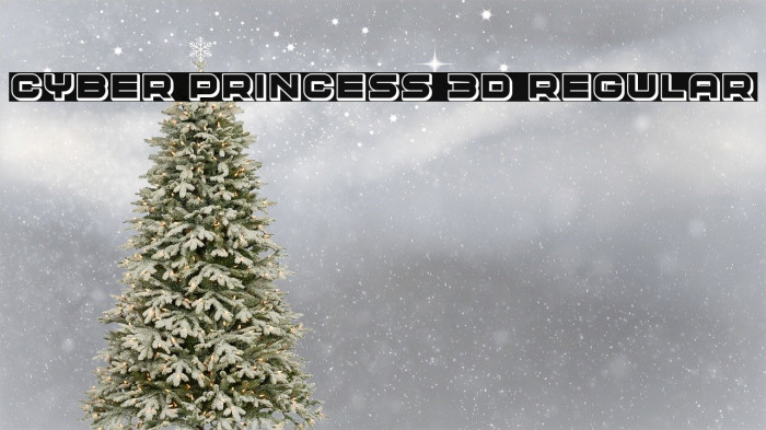 Cyber Princess 3D Regular Example 1