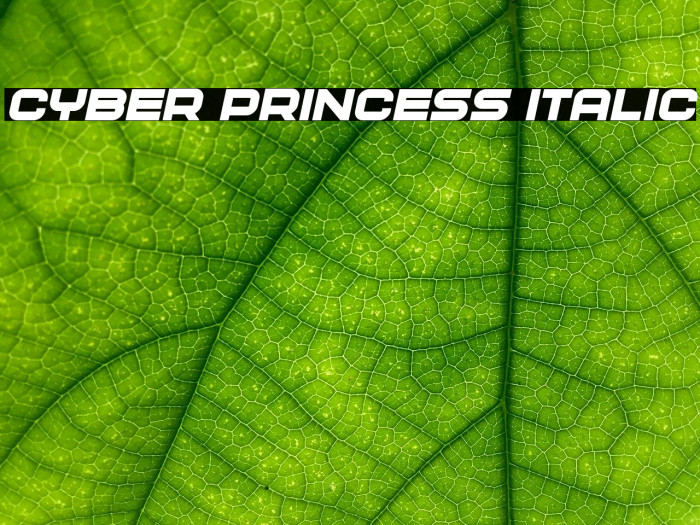 Cyber Princess Italic Font examples