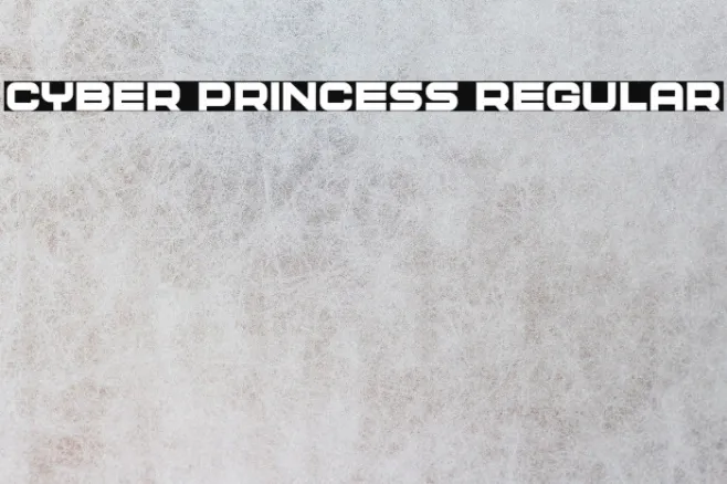Cyber Princess Regular Example 1