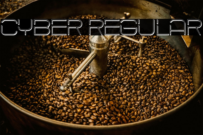 Cyber Regular Example 1