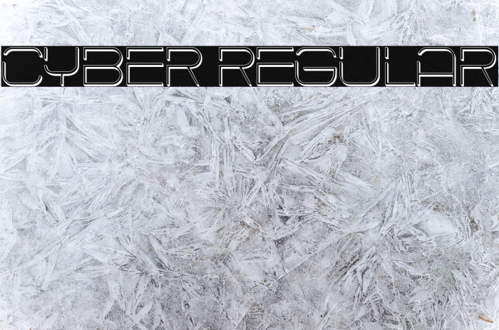 Cyber Regular Example 2