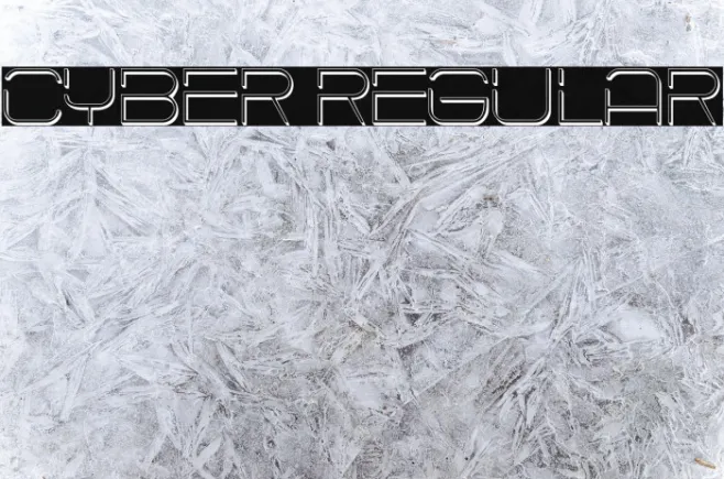 Cyber Regular Example 2