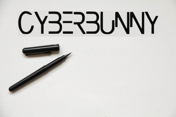 CyberBunny Example 1