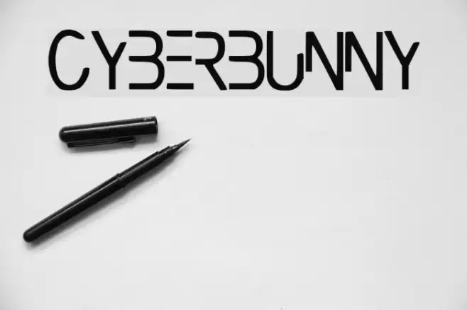 CyberBunny Font examples