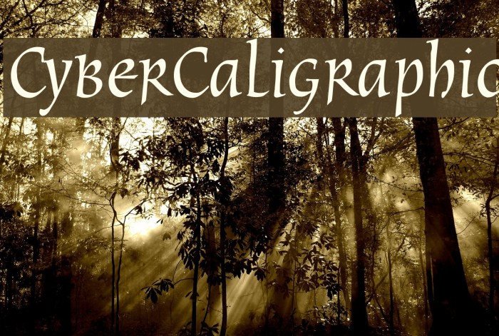 CyberCaligraphic Font examples