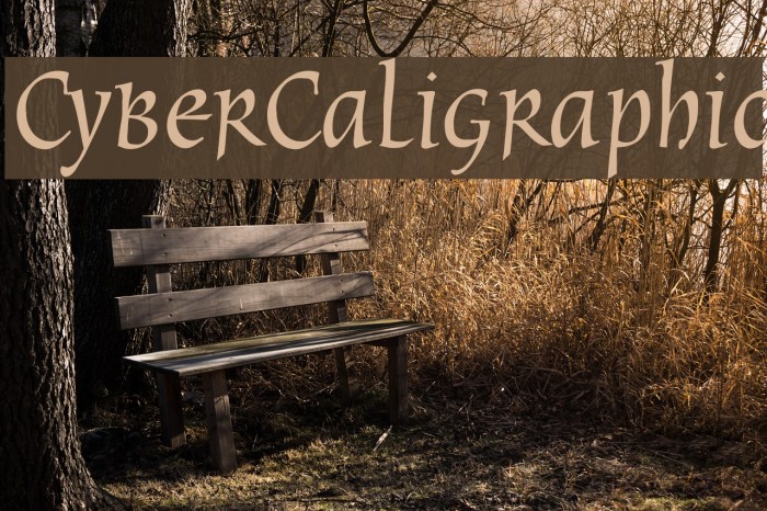 CyberCaligraphic Font examples