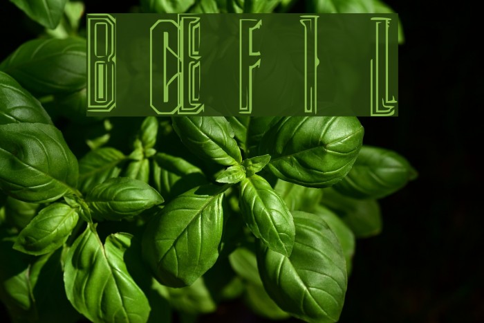 CyberFlix Regular Example 3