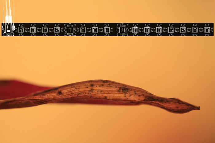 CyberTech Monogram Example 1