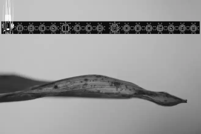 CyberTech Monogram Font examples