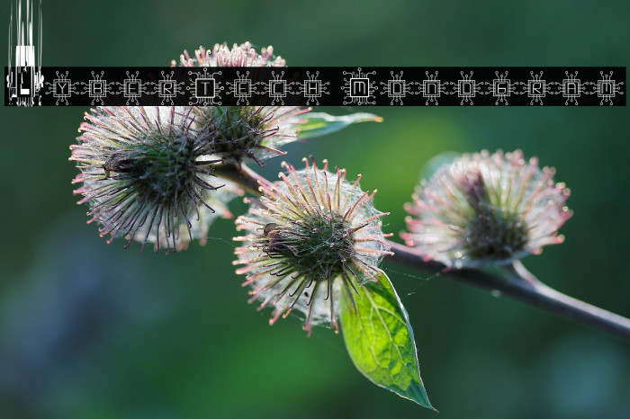 CyberTech Monogram Example 3