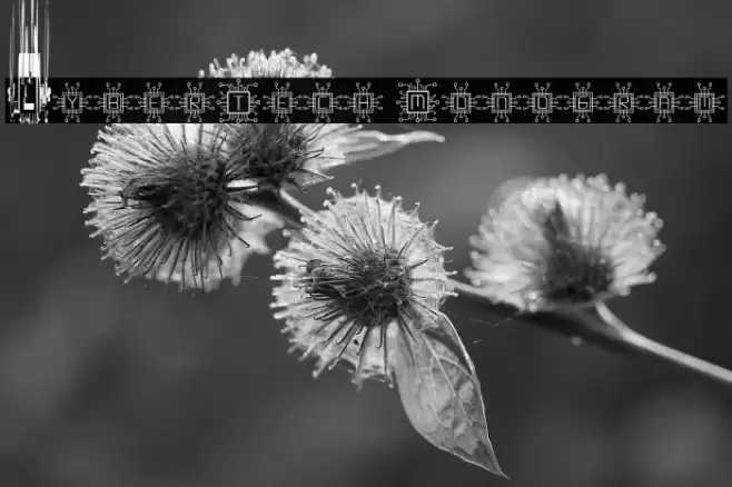 CyberTech Monogram Font examples