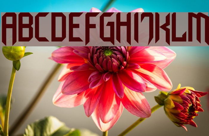 Cyberchild CE Example 3