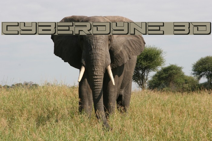 Cyberdyne 3D Font examples
