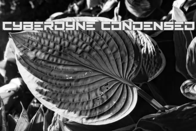 Cyberdyne Condensed Шрифта examples
