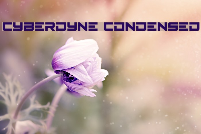 Cyberdyne Condensed Font examples