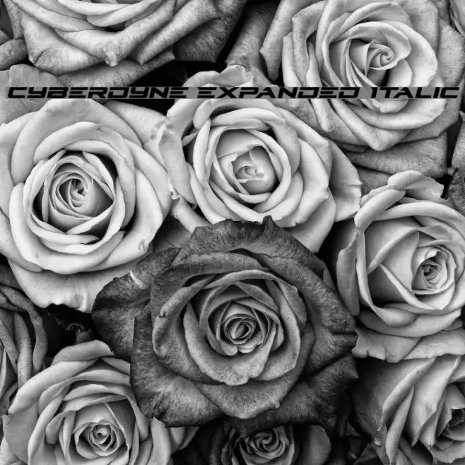 Cyberdyne Expanded Italic Font examples