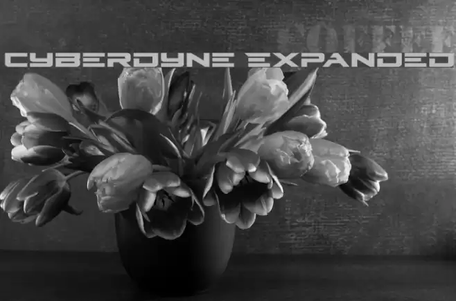 Cyberdyne Expanded Schriftart examples