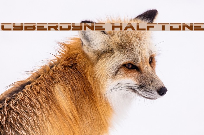 Cyberdyne Halftone Font examples