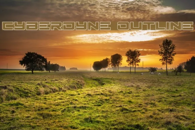 Cyberdyne Outline Example 2