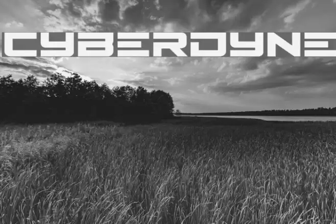 Cyberdyne Fonte examples