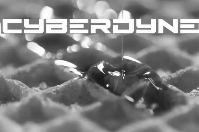 Cyberdyne Fonte examples