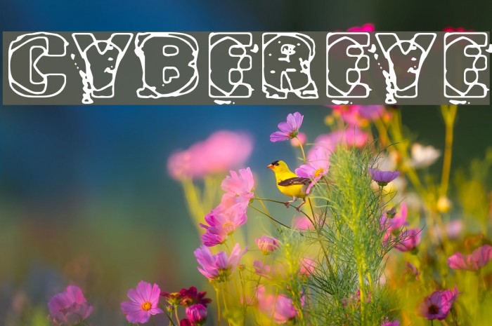 Cybereye Font examples