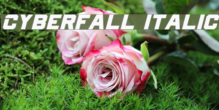 Cyberfall Italic Font examples