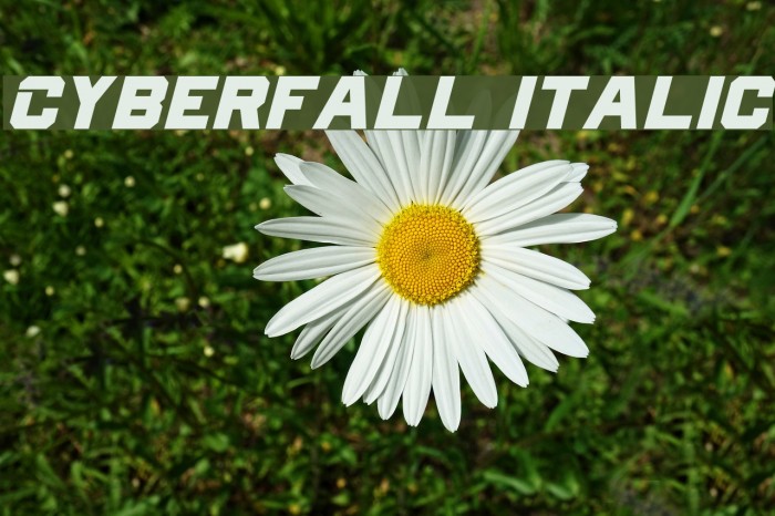 Cyberfall Italic Font examples