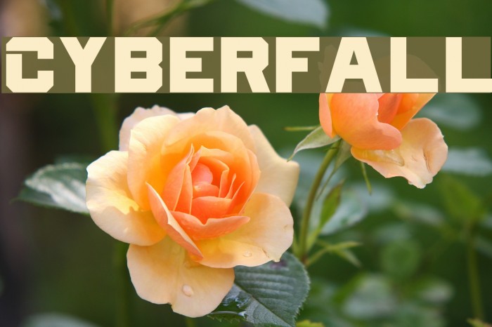 Cyberfall Font examples